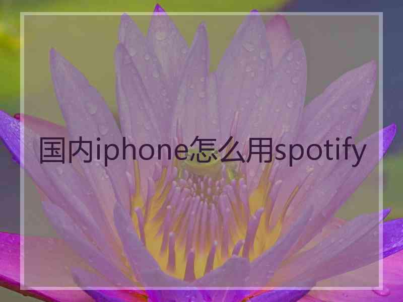 国内iphone怎么用spotify 国内iphone怎么用spotify