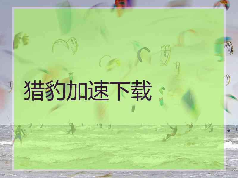 猎豹加速下载 猎豹加速下载