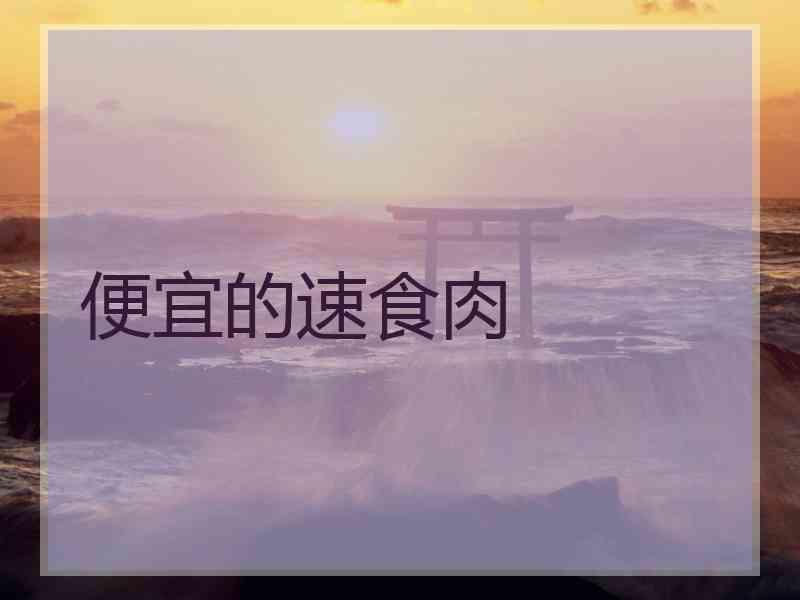 便宜的速食肉 便宜的速食肉