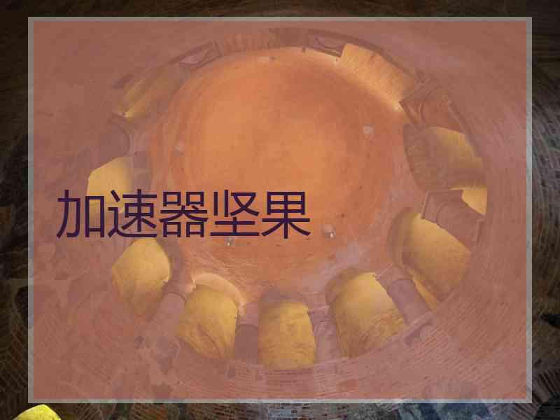 加速器坚果 加速器坚果