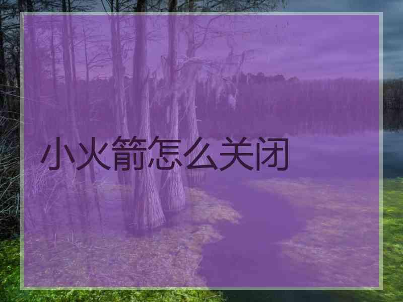 小火箭怎么关闭 小火箭怎么关闭