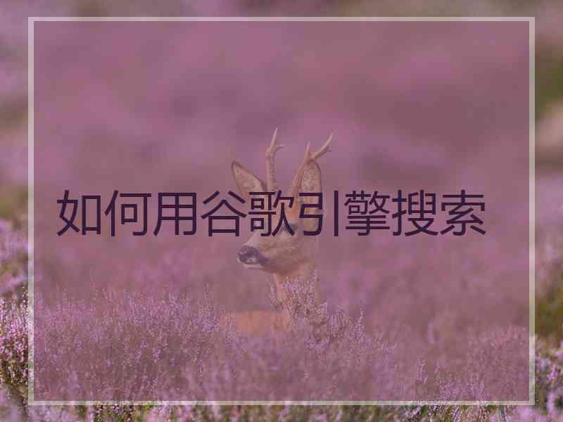 如何用谷歌引擎搜索 如何用谷歌引擎搜索