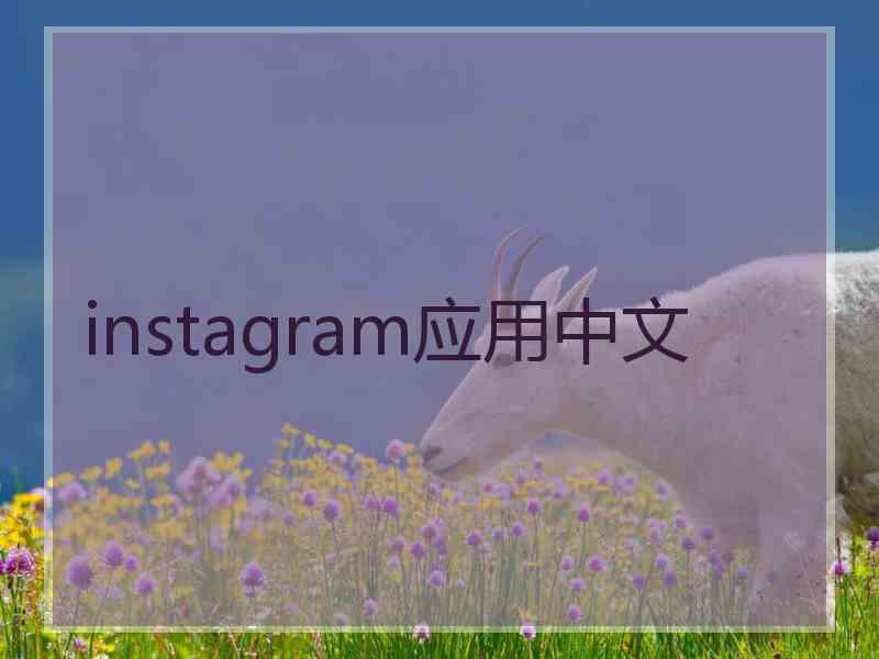 instagram应用中文