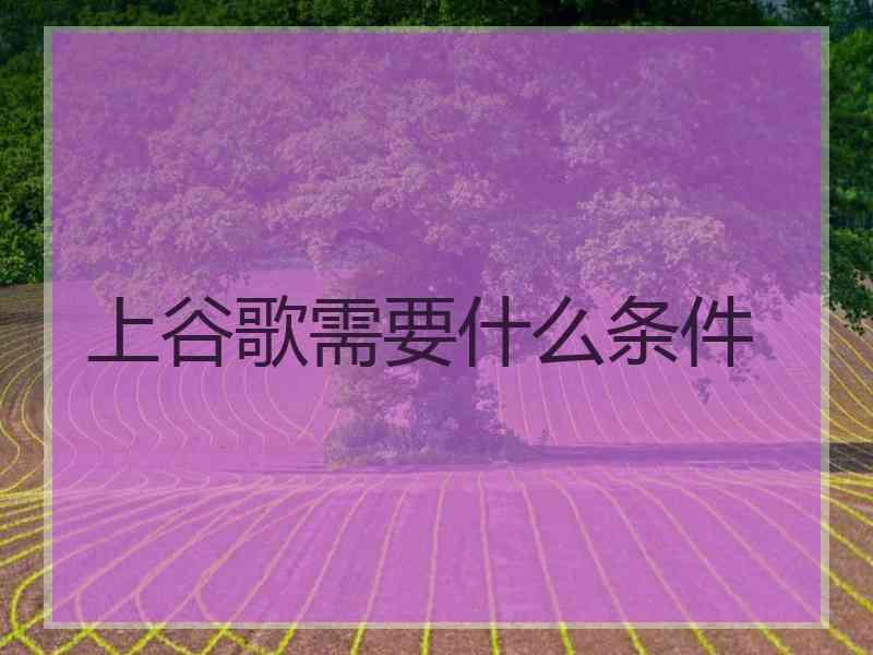 上谷歌需要什么条件 上谷歌需要什么条件