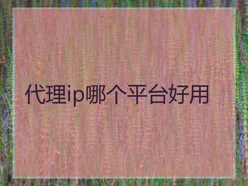 代理ip哪个平台好用 代理ip哪个平台好用