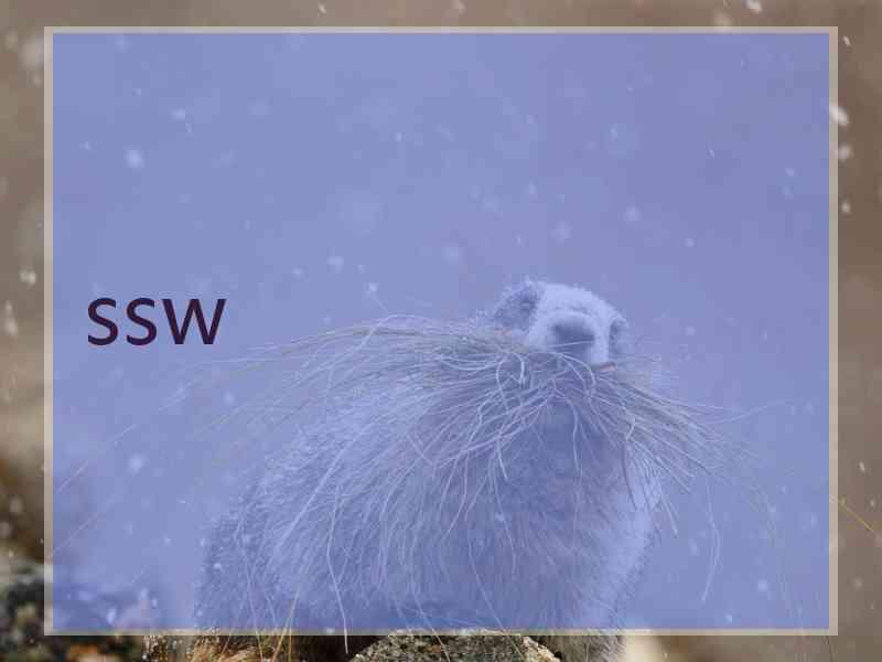 ssw ssw
