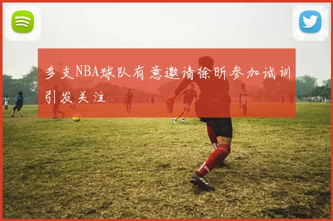 多支NBA球队有意邀请徐昕参加试训引发关注