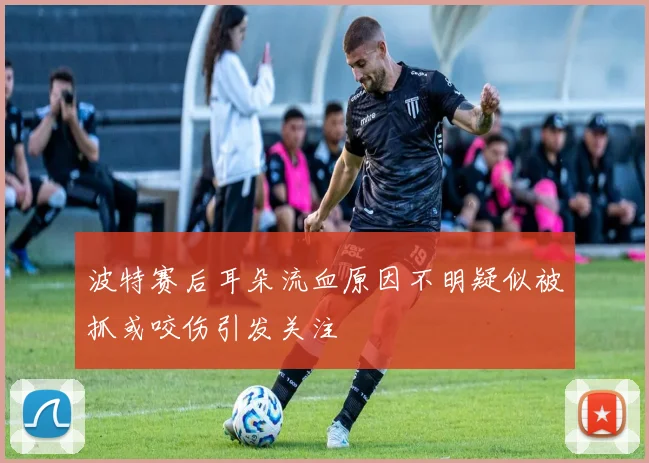 波特赛后耳朵流血原因不明疑似被抓或咬伤引发关注