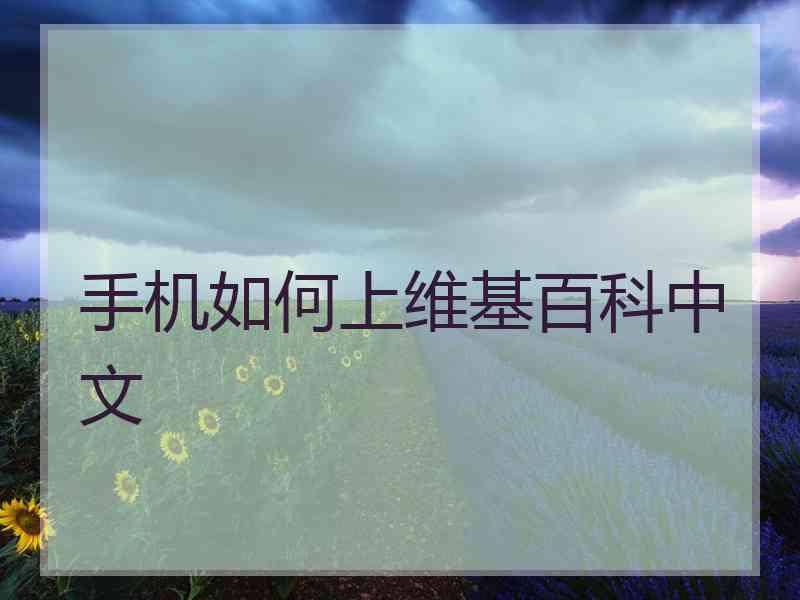 手机如何上维基百科中文