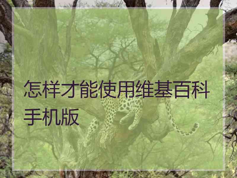 怎样才能使用维基百科手机版