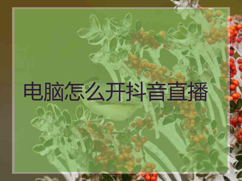 电脑怎么开抖音直播