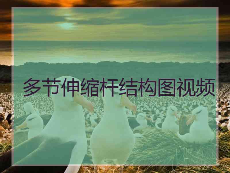 多节伸缩杆结构图视频