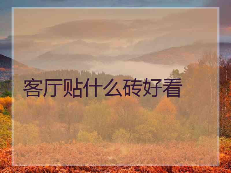 客厅贴什么砖好看