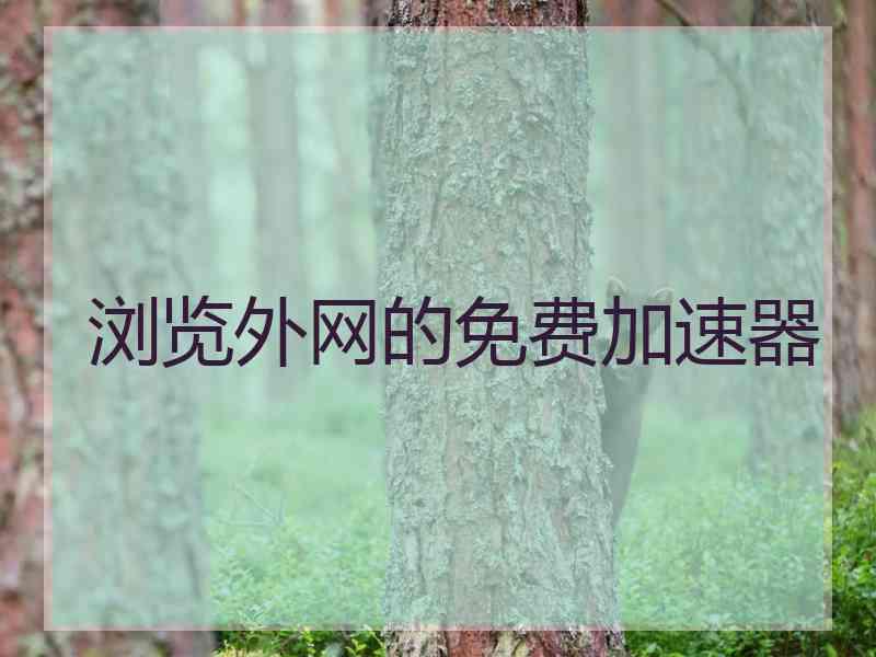 浏览外网的免费加速器