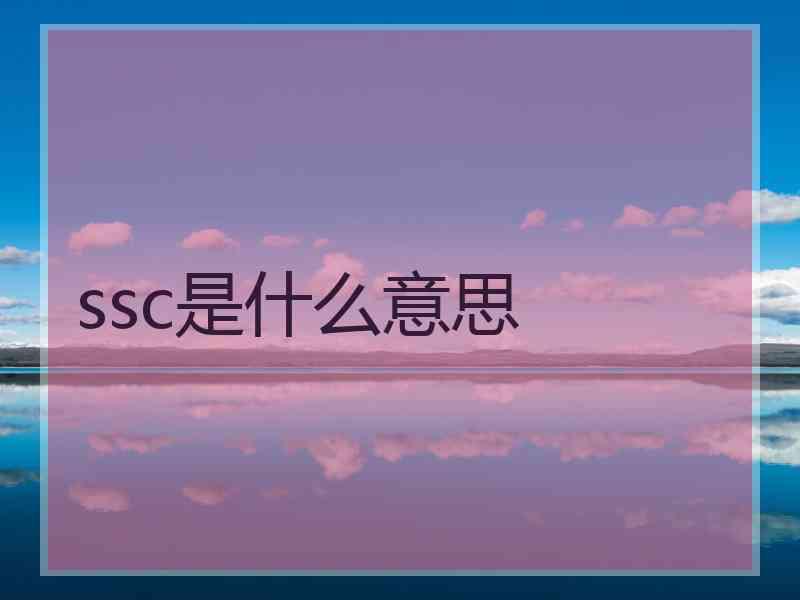 ssc是什么意思
