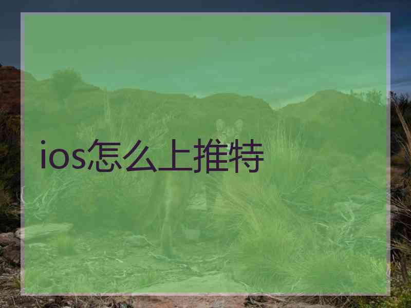ios怎么上推特