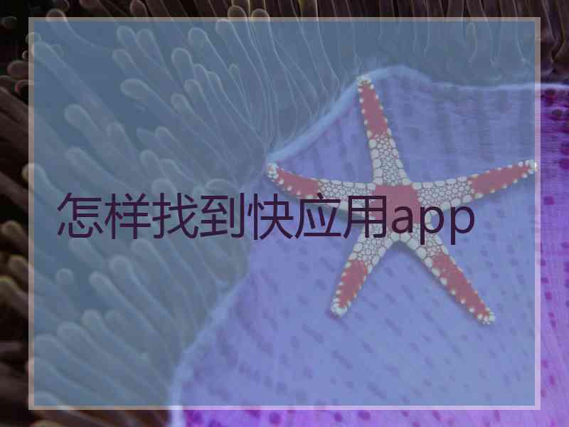 怎样找到快应用app
