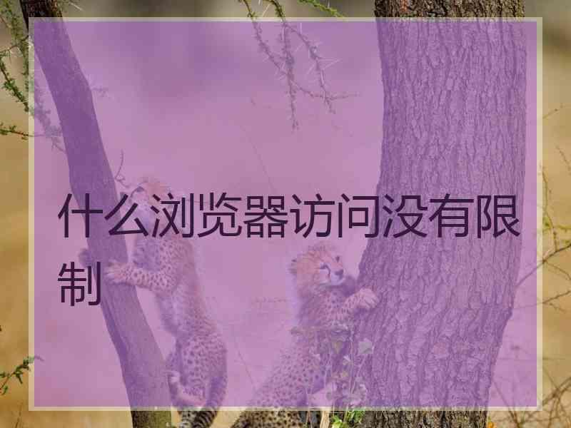 什么浏览器访问没有限制