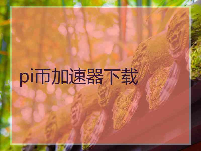 pi币加速器下载
