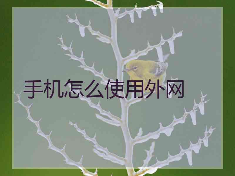 手机怎么使用外网