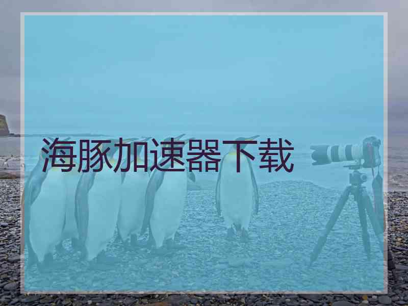 海豚加速器下载