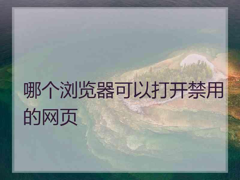 哪个浏览器可以打开禁用的网页