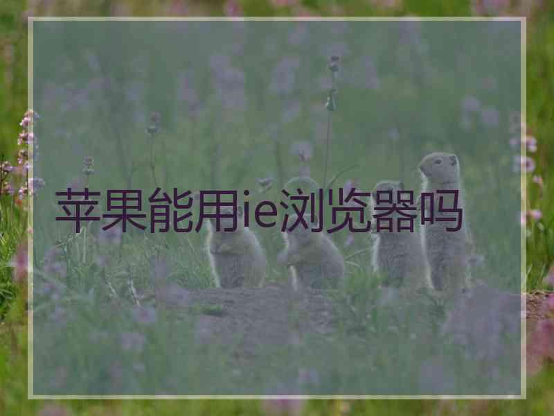 苹果能用ie浏览器吗