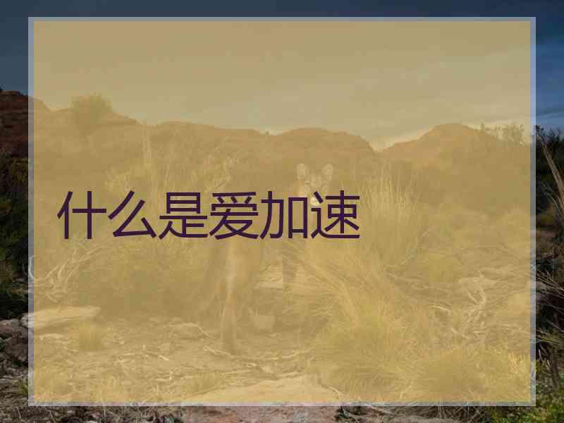 什么是爱加速
