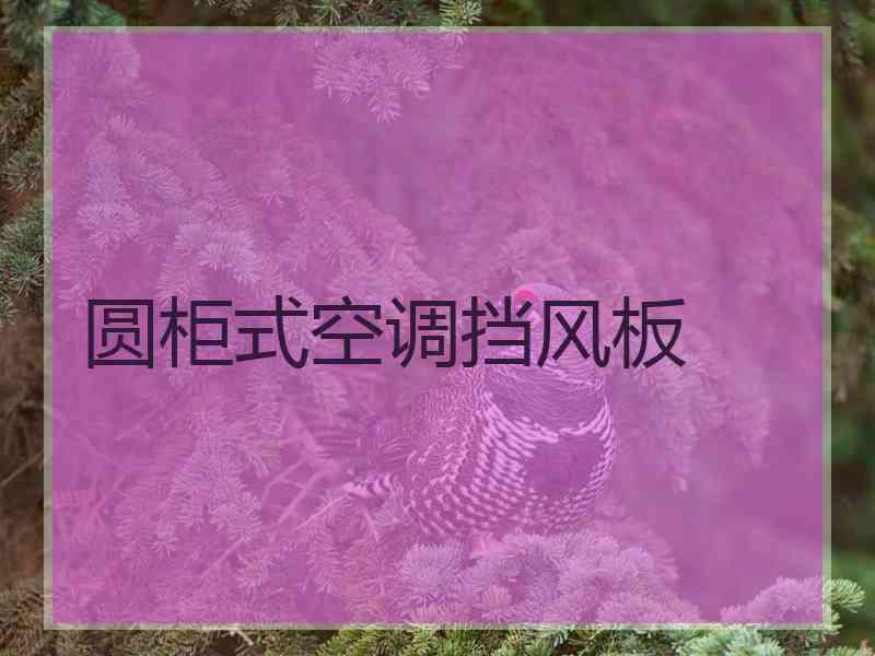 圆柜式空调挡风板