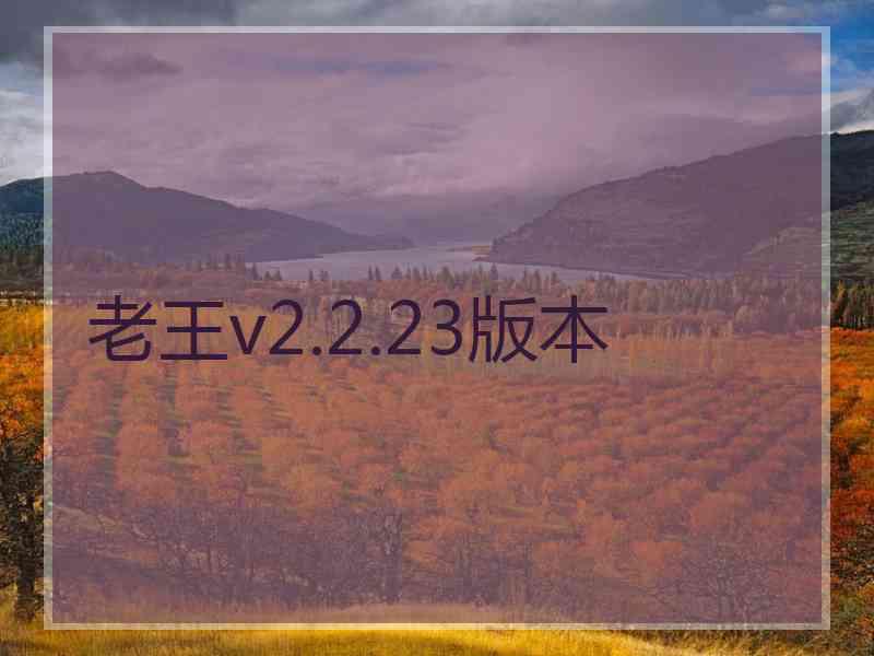 老王v2.2.23版本