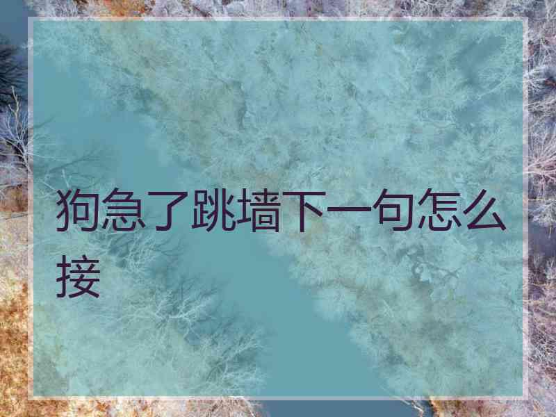 狗急了跳墙下一句怎么接