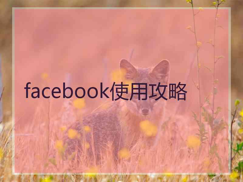 facebook使用攻略