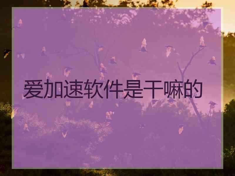 爱加速软件是干嘛的