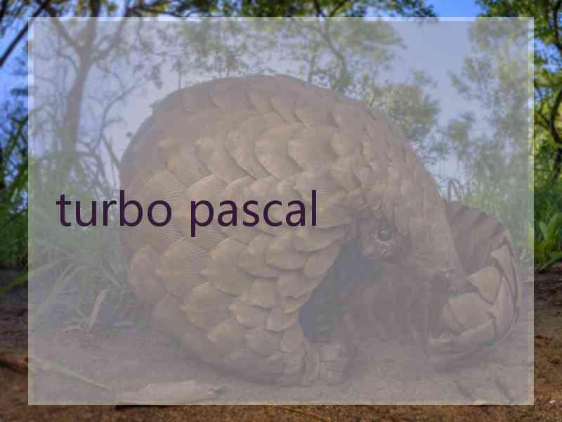 turbo pascal