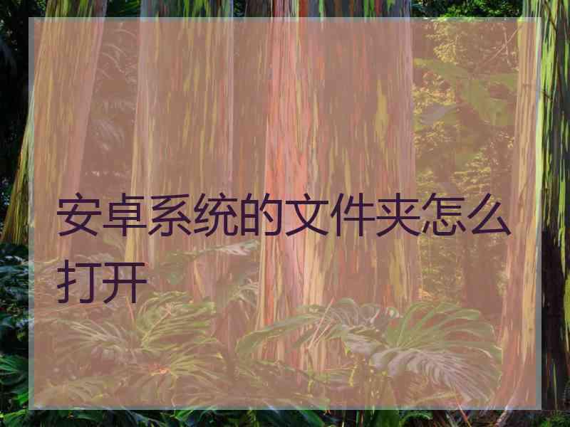 安卓系统的文件夹怎么打开