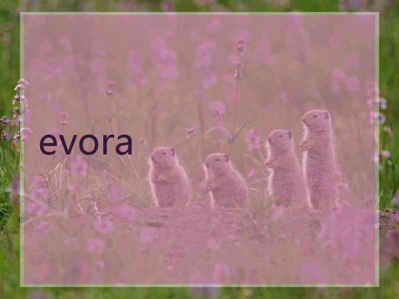 evora