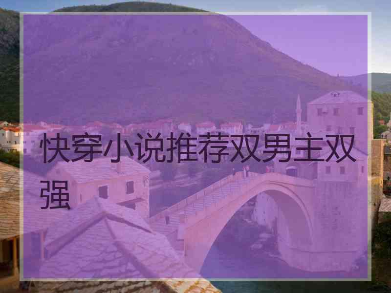 快穿小说推荐双男主双强