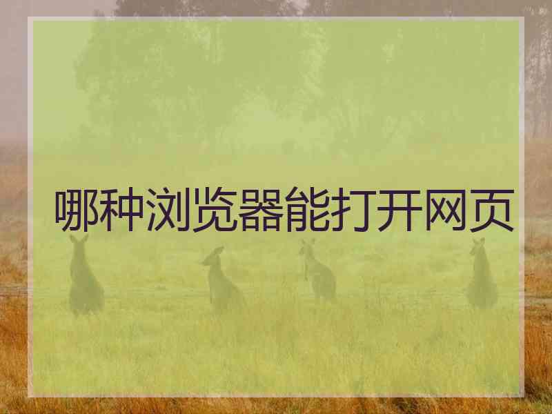 哪种浏览器能打开网页