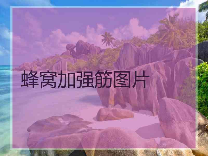 蜂窝加强筋图片