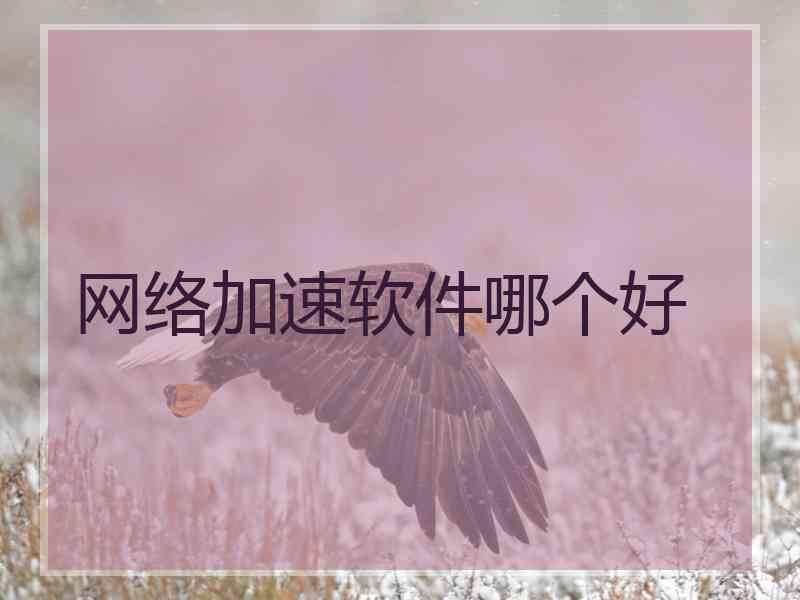网络加速软件哪个好