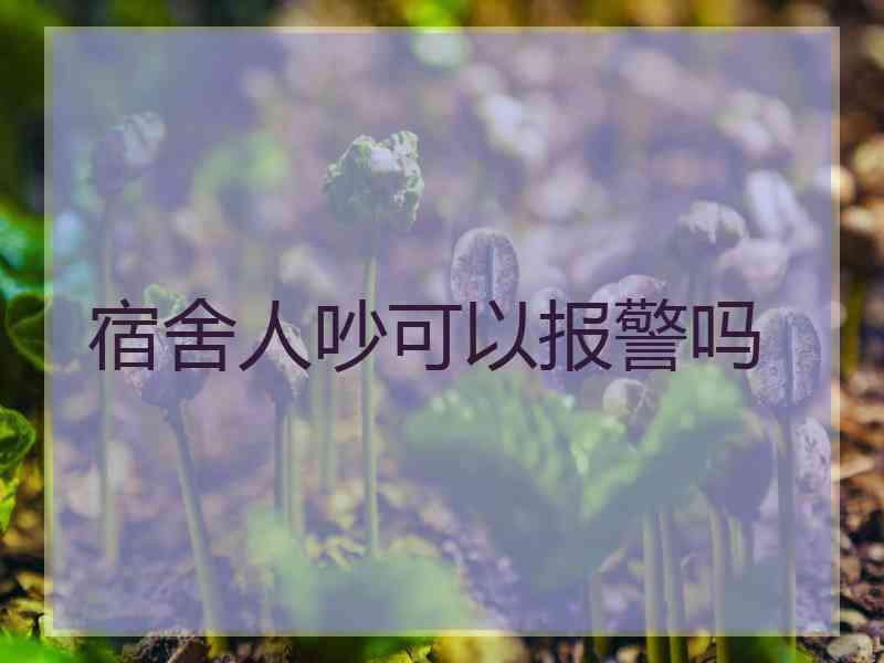 宿舍人吵可以报警吗