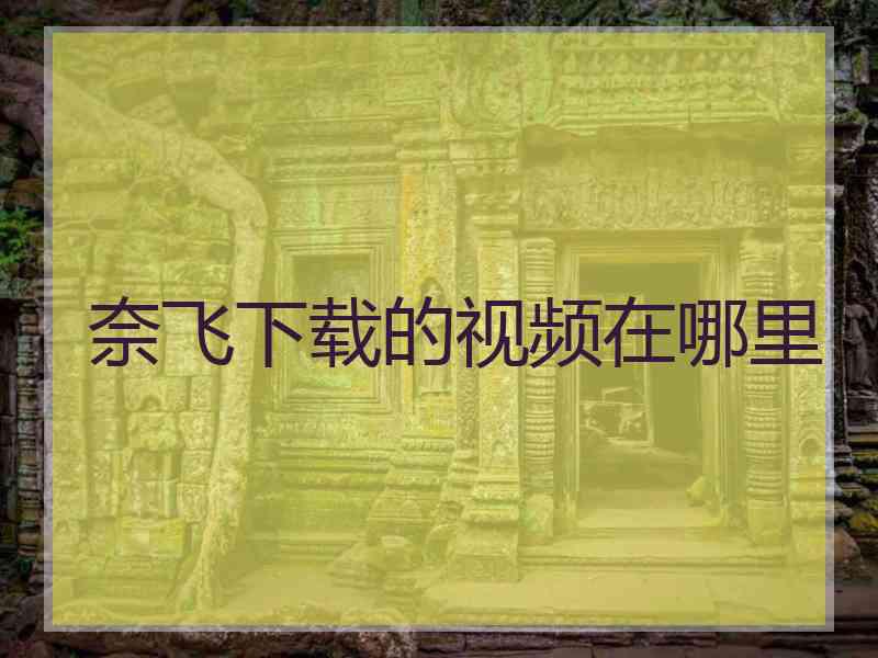 奈飞下载的视频在哪里