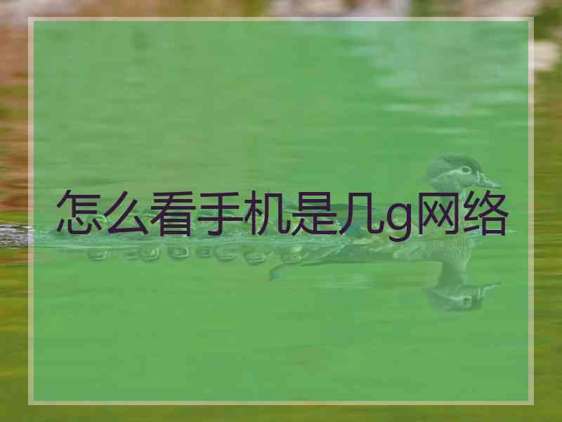 怎么看手机是几g网络
