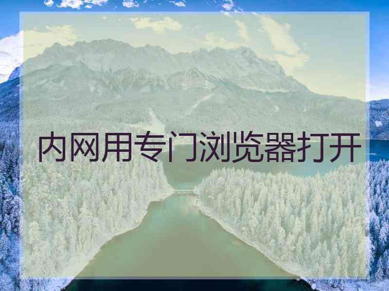 内网用专门浏览器打开