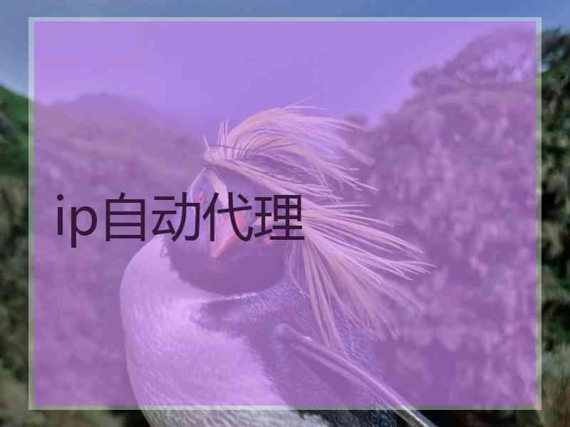 ip自动代理