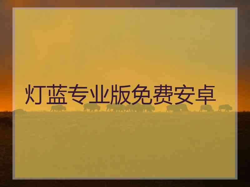 灯蓝专业版免费安卓