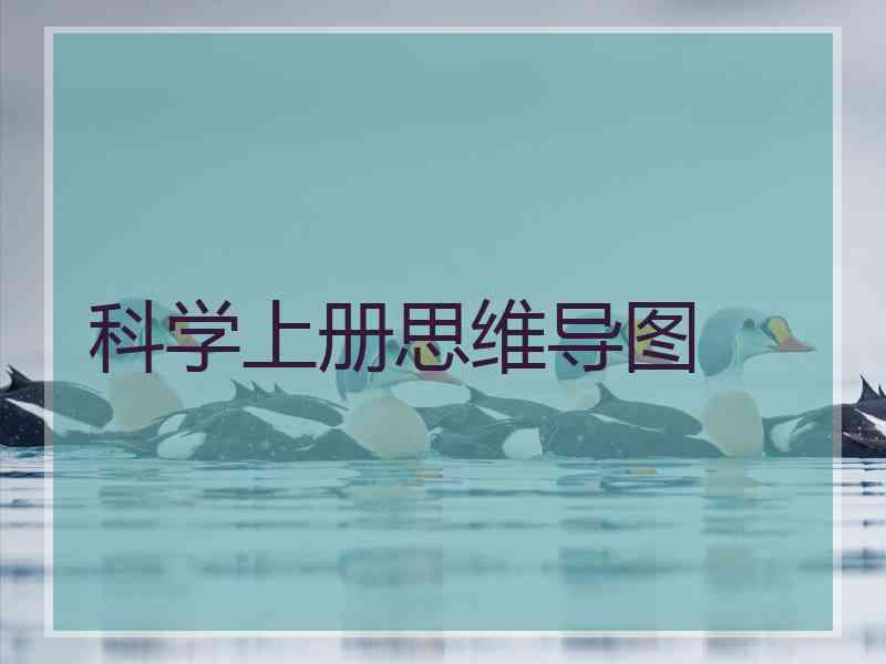 科学上册思维导图