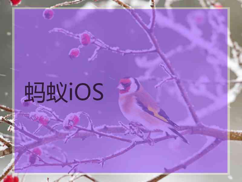 蚂蚁iOS