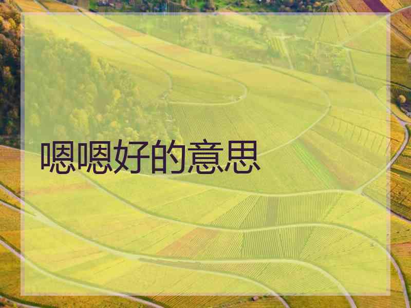 嗯嗯好的意思