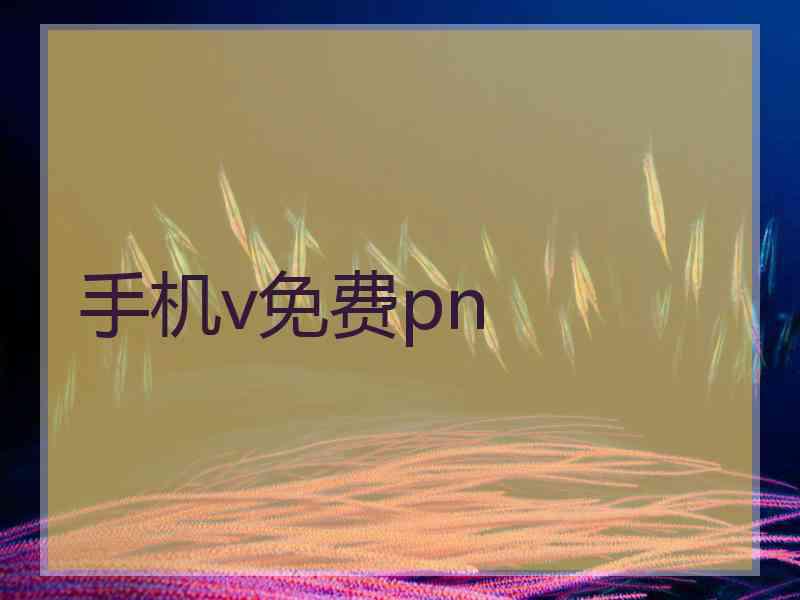 手机v免费pn